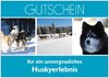 Gutschein Huskywanderung Halbtagestour