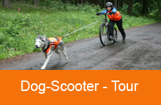 10dogscooter